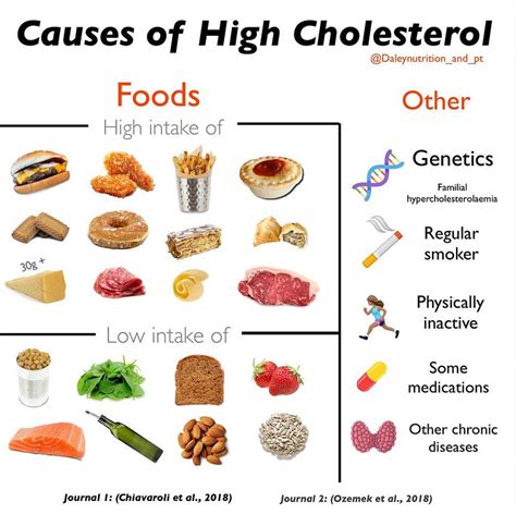 Common foods high in cholesterol